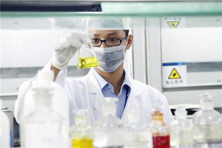 新高考“3+1+2”模式下，選定物理或歷史后，剩余兩科如何科學抉擇？—— 一份全面的信息咨詢服務指南